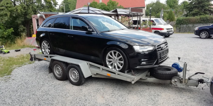 Elner - audi